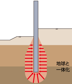 インプラント構造（”天然の歯”形式）